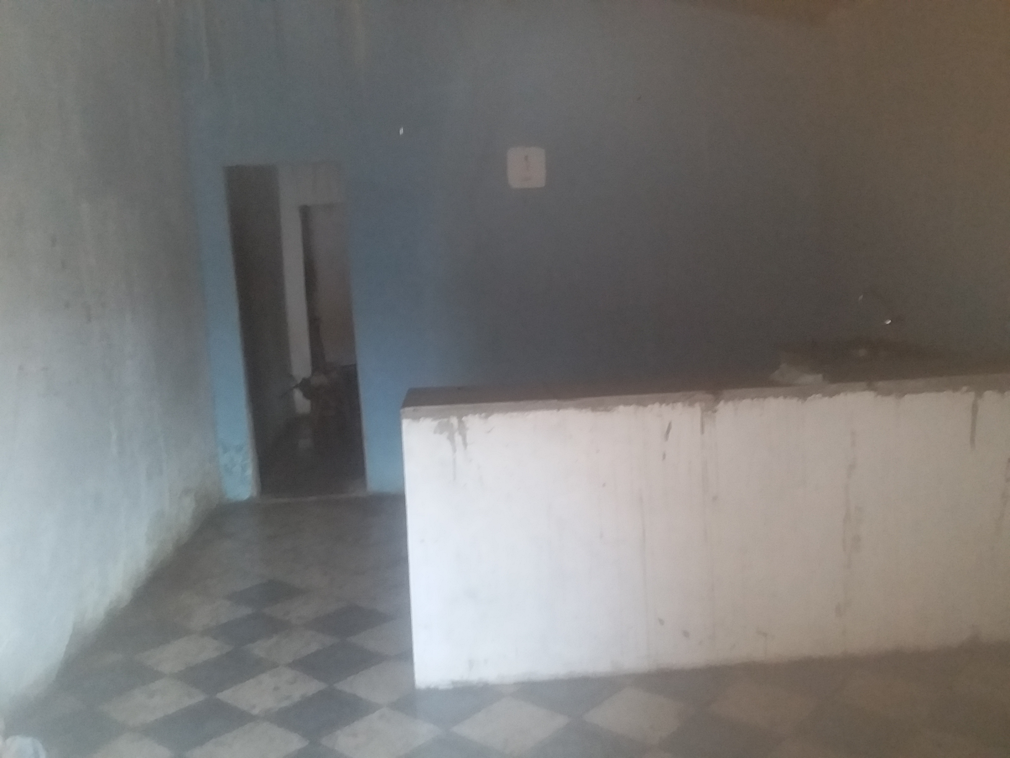 imagem do quintal da casa